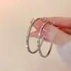 Brilhantes Exquisitos Luxuosos de Nicho Novo Estilo Coreano Brincos de Alta Sensação Moda Versátil Brincos de Presente Comemorativo