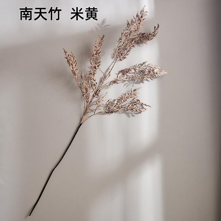 南天竹  米黄
