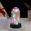 Mini Buquê de Flores de Sabão Transfronteiriço, Rosas Eternas Cobertas de Acrílico, Presente de Aniversário, Ornamento Luminoso para Desktop