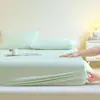 Jie Liya Clase a Refrescante Seda de Hielo Nailon Sábana Individual Juego de Tres Piezas Ropa de Cama para Uso Doméstico Compra de Regalo Disponible para Venta al por Mayor