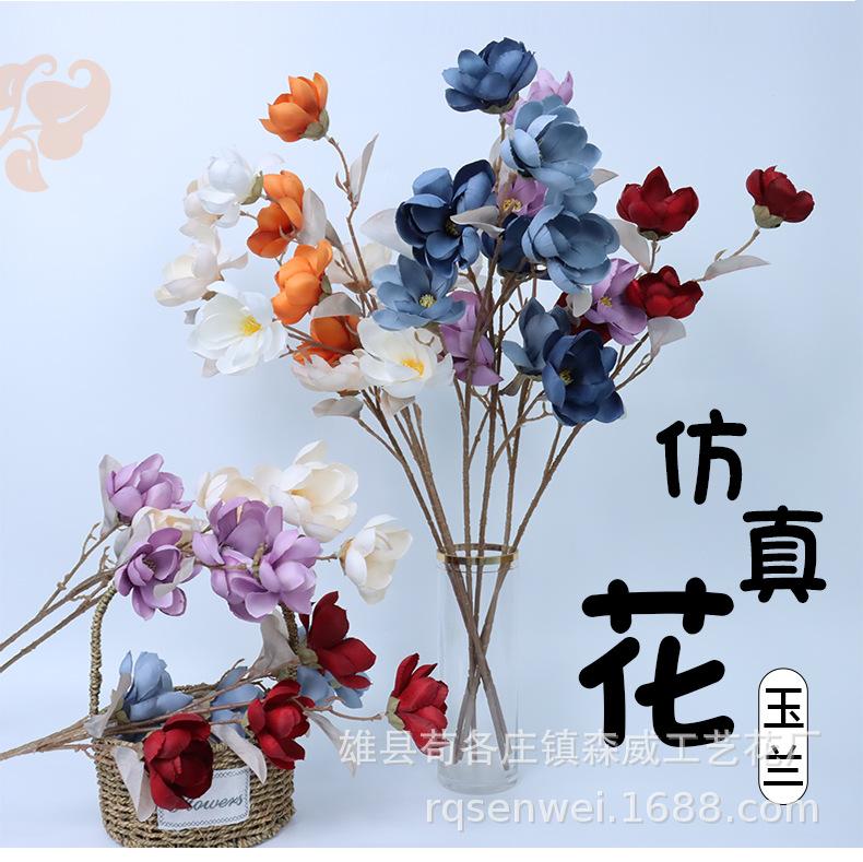 玉兰花_01.jpg