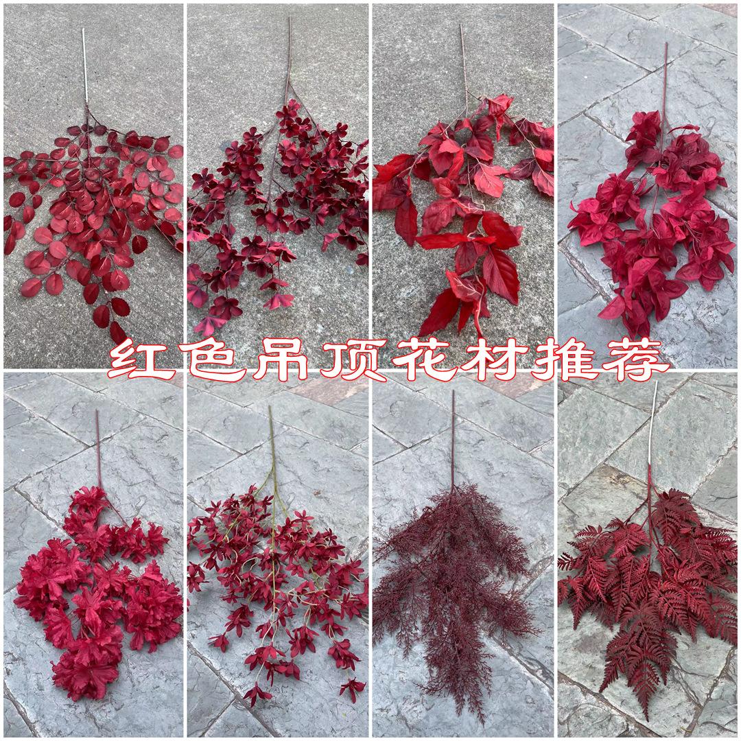微信图片_20230612093132
