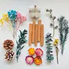 Decoración Artesanal DIY Flor de Madera Flor Rosa Planta Creación de Entorno para Jardín de Infancia Material de Flor Seca Decoración Colgante de Interior Flor Enrollada de Madera