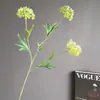 Plantas Verdes de Nicho, Fruto de Ricino, Bolas de Nieve Mini de Plástico, Granos de Arroz, Ramilletes Estilo Bosque Nórdico, Fruto de Ricino Artificial, Accesorios para Fotografía