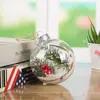 Famosos en Internet Decoraciones Navideñas de 8cm Transparentes Dibujos Animados Regalos Festivos Adornos para Árbol de Navidad Colgantes Plástico Al por Mayor