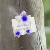 Nuevo Set de Pinzas para el Cabello Flor de Huevo de Amazon Pinza para la Parte Trasera de la Cabeza Bauhinia Pinza Tiburón de Temperamento Accesorios para el Cabello Tocado