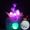 Lámpara de Sensor de Control de Luz Regalo Creativo Transfronterizo Florero Luminoso de Cambio de Color Colorido Luz de Noche Regulaciones Europeas y Americanas