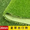 Serie CéspedAlfombra Plástica Artificial Especializada para Gimnasios, Usada para Decorar Parques Infantiles, Estudios y Pistas de Entrenamiento Interiores/Exteriores