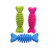 Amazon Brinquedo para Cachorro Conjunto TPR Treinamento Limpeza Dental Divertido Interativo Fabricante Transfronteiriço Atacado Modelo para Roer Dentes de Filhote