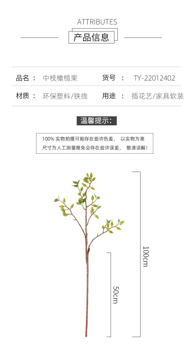 中枝橄榄果详情图
