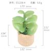 Amazon Planta Artificial Suculenta Imán de Corcho Imán de Refrigerador Decoración del Hogar Estilo Pastoral Suculenta Creativa Atracción Magnética