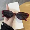 Óculos de Sol Novos de Armação Pequena Estilo Gatinho para Mulheres 2027 Proteção UV Óculos de Sol Estilo de Rua Moda Europeia Americana Tendência Óculos de Sol para Mulheres