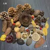 Fruta Fixa Natural Planta Fruta Casca Espécime Material Decoração Flores Secas Fatias Jardim de Infância DIY Pacote de Material de Natal