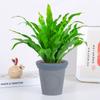 Dropshipping Helecho Nido de Ave Helecho en Maceta Follaje de Interior Planta Verde Flor Sala de Estar Oficina Escritorio de Empresa Planta Novedad