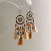 Pendientes de gancho de resina con forma de hoja ovalada y pluma, transfronterizos europeos y americanos, pendientes frescos y sencillos de verano, pendientes de diseño nicho para mujer