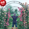 Arco de Ferro para Flores Rose para Exterior Estrutura de Treliça Videira de Clematis Uva Bucha Ferro Forjado Reforçado Metabo