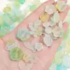 Acrílico Escarchado Gelatina Dos Tonos Moño Pieza Redonda Accesorios DIY Pulsera de Cuentas Hecha a Mano Accesorios para Collar