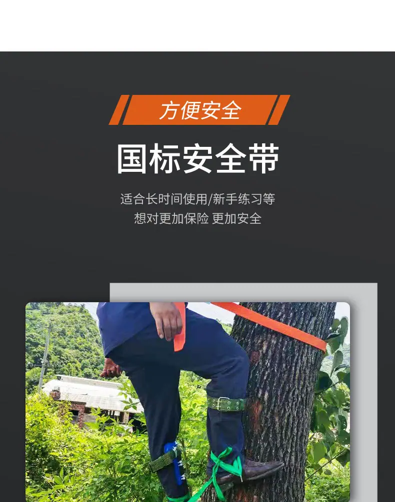 黄色1_10.jpg
