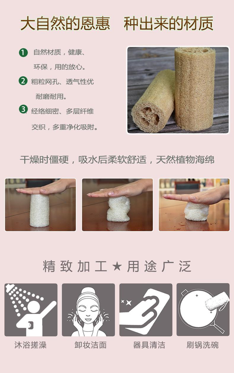 丝瓜络_04.jpg
