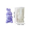 Serie de Pascua molde de silicona para velas de conejo DIY flor en relieve vela de conejo yeso decoración de gota de pegamento