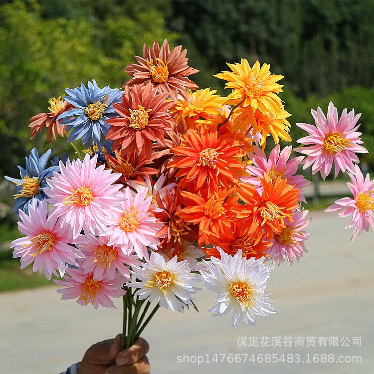 花溪谷_副本.jpg