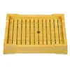 Bandeja de Chá Estilo Japonês Feita de Plástico com Textura de Bambu, Drenagem de Água, Resistente a Mofo, Destacável, Design Simples, Bandeja para Conjunto de Chá com Drenagem, Sem Mofo