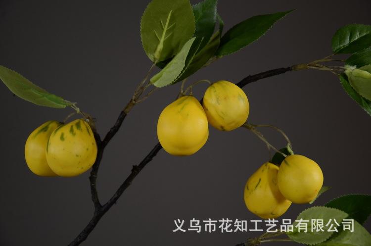 2-9黄色欧罗梨子.JPG