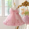 Vestido de tul de princesa con temática de pastel para niños, adecuado para niñas de 3 a 8 años, perfecto para fiestas de cumpleaños y actuaciones, un atuendo elegante y con estilo.