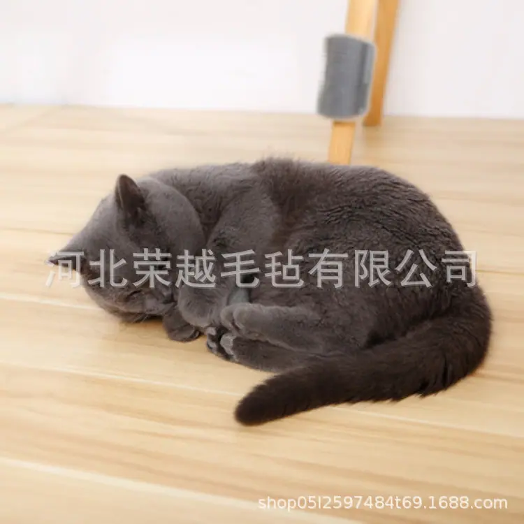 O1CN01kHaAFA1siRkSDiEyj_!!3476
