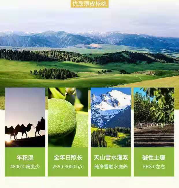 微信图片_20191112195938