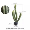 Cacto Artificial Planta Verde Decorativa em Vaso Biónica Tropical Desértica Pacote de Paisagismo Combinação Falso Cactus