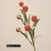 Nuevas Flores Artificiales Doradas de 6 Cabezas de Venta Caliente Transfronteriza Decoración del Hogar Arreglo Floral Accesorios para Fotografía Flores Falsas de Crisantemo