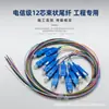 Coleta de fibra óptica de 12 núcleos cabeza cuadrada cabeza redonda cola de haz cuadrado pequeño cable de fibra óptica SC/LC/FC cabeza redonda material de bajo humo libre de halógenos