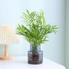 Plantas Hidropónicas de Interior, Plantas en Maceta de Bambú Marrón, Plantas Verdes Tolerantes a la Sombra y Fáciles de Mantener, Plantas de Escritorio Vivas de Sala de Estar para Personas Perezosas en Todas las Estaciones