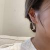 Pendientes de aro cruzado de diamantes explosivos de Douyin para mujer otoño 2022 pasador de plata s925 pendientes de cola de pez moda versátiles pendientes versátiles