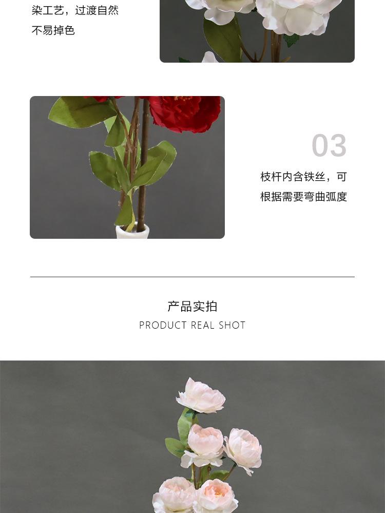 详情_03