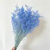 Festival Qixi Amor Eterno Grama Cúpula de Vidro Buquê DIY Materiais de Flores Fabricante Venda Direta no Atacado Aromaterapia Flores Reais Enfeites de Flores Secas