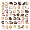 50 Pegatinas de Gato Redondo con Ojos Grandes de Dibujos Animados para Graffiti, Pegatinas Impermeables para Decoración de Diario DIY, Cuaderno, Equipaje