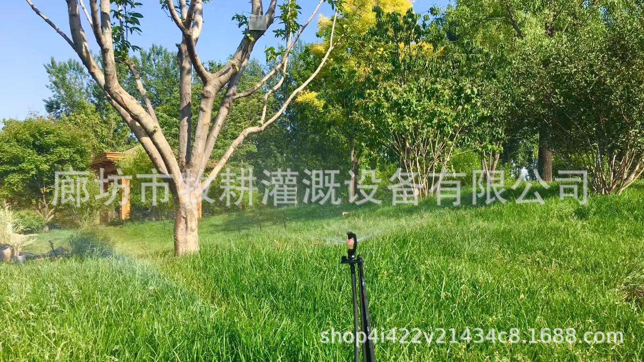 mmexport1495530350825