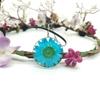 Daisy Time Joyería de Vidrio con Piedras Preciosas Flor Real Planta Collar Colgante Estilo Bosque de Crisantemos y Girasoles Secos 30m