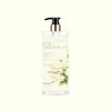 Champú con Fragancia de Aminoácidos de Gardenia, Refrescante y Voluminizador, Anticaspa, Control de Grasa, Gel de Baño Limpiador e Hidratante, En Stock para Venta al por Mayor