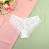 Braguitas para Mujer Sin Costuras de Tiro Bajo Caladas Malla Transpirable Braguitas para Mujer Amigables con la Piel Braguitas de Encaje Sexy para Mujer