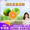 [Seleção Premium] Tangerinas Mel de Yichang de Hubei, disponíveis para drop shipping em embalagens de 3/5/9 libras, tamanho de 50-75 mm, uma fruta fresca sazonal agridoce