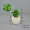Combinação de Plantas Suculentas em Vaso Decoração de Casa Plantio Verde Janela de Flor Janela de Canto Mesa de Centro Conjunto de Mesa Arte com Flores Pequena Planta em Vaso