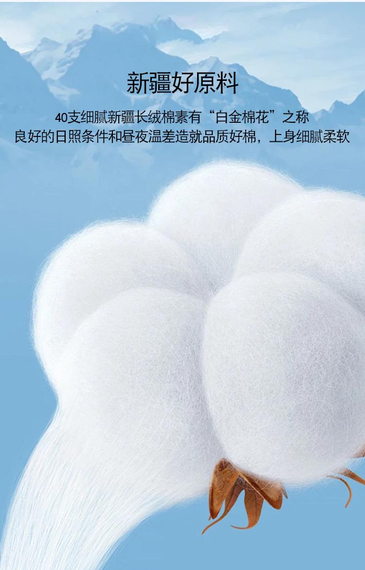 A2_07.jpg