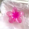 Acessório de Foto Popular para Férias de Verão Transfronteiriço, Presilha de Cabelo Flor de Plumeria, Presilha de Franja Lateral de Alta Qualidade