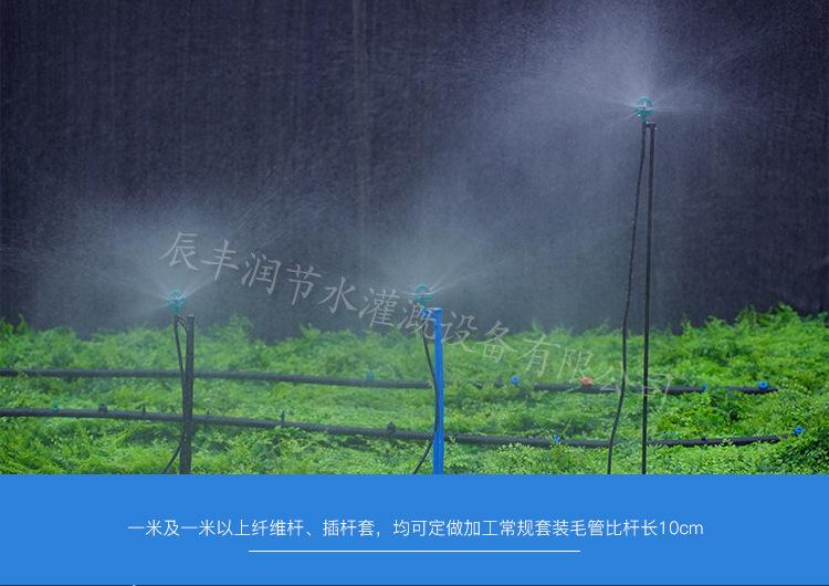 详情_10