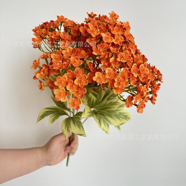 微信图片_202305101709192_副本