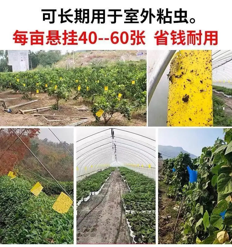 详情1