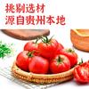Base Auténtica de Sopa Ácida Roja Fermentada Laotan, Especialidad de Guizhou, Material Base para Sopa Ácida de Pescado, Sopa Ácida de Res y Tomate, Base para Hot Pot